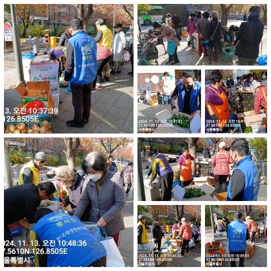 �����̹�������:layout 2024-11-13.jpg